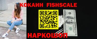 spice Камышлов