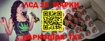 spice Камышлов