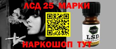 spice Камышлов