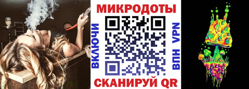 Псилоцибиновые грибы Psilocybe  Михайловка 