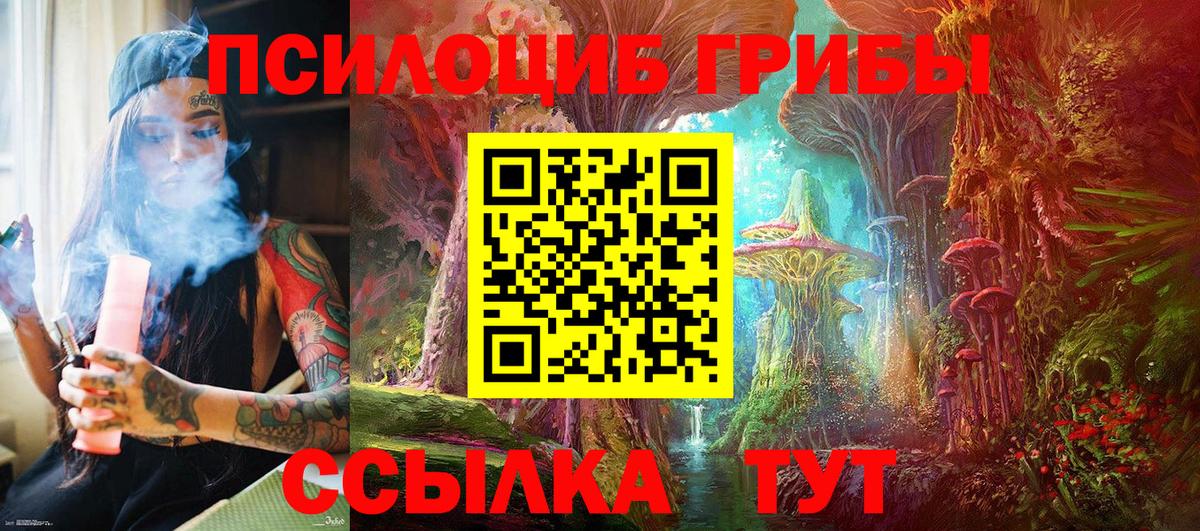 Псилоцибиновые грибы мухоморы Михайловка